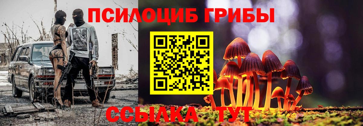 Галлюциногенные грибы Magic Shrooms Кандалакша