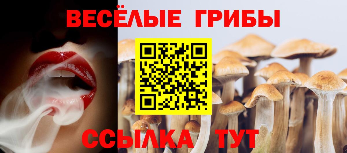 Кандалакша  Псилоцибиновые грибы мицелий  Вход с VPN  Псилоцибиновые грибы GOLDEN TEACHER 